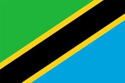 Tanzania Flag